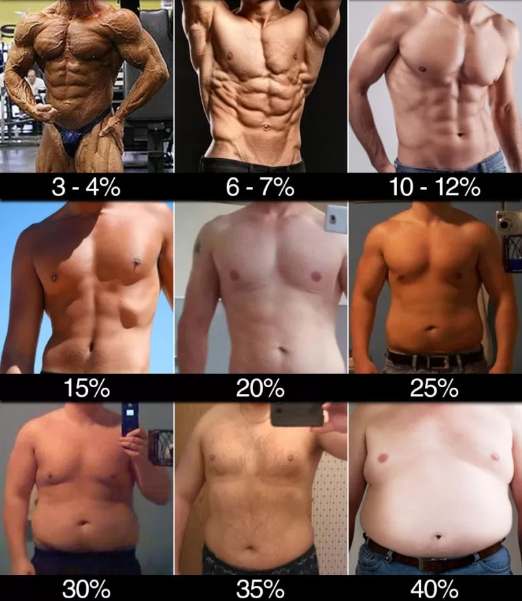 porcentaje de grasa corporal en hombres